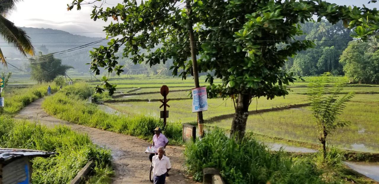 Che'S Villa Kandy Buitenkant foto